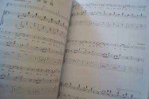 Chuck Berry - 1926-2017 Songbook Notenbuch Vocal Guitar