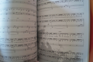 Peter Fox - Songbook Songbook Notenbuch Piano Vocal Guitar PVG