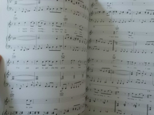 Ray Lamontagne - Till the Sun turns Black Songbook Notenbuch Piano Vocal Guitar PVG