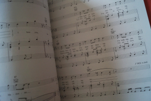 Robbie Williams - Rudebox Songbook Notenbuch Piano Vocal Guitar PVG