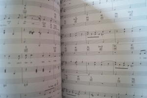 Sting - The Singles Collection Songbook Notenbuch Piano Vocal Guitar PVG