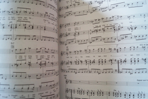 Sting - The Singles Collection Songbook Notenbuch Piano Vocal Guitar PVG