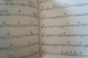 Shadows - Big Hits Songbook Notenbuch Vocal Easy Guitar