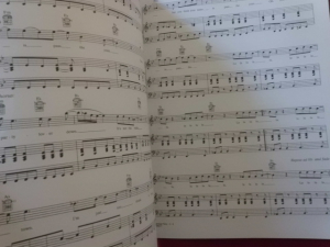 Gavin DeGraw - Chariot Songbook Notenbuch Piano Vocal Guitar PVG