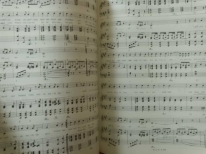 Wolfgang - Aus Abrahams Bude Songbook Notenbuch Piano Vocal Guitar PVG