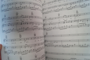 Green Day - American Idiot Songbook Notenbuch Piano Vocal Guitar PVG