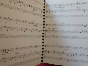 Doobie Brothers - Guitar Superstar Series Songbook Notenbuch Vocal Guitar