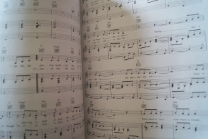 Delta Goodrem - Mistaken Identity Songbook Notenbuch Piano Vocal Guitar PVG