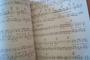 Marianne Rosenberg - Hitmix Songbook Notenbuch Piano Vocal Guitar PVG