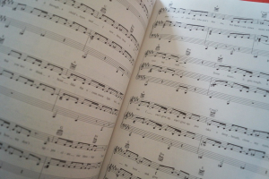 Destiny´s Child - Survivor Songbook Notenbuch Piano Vocal Guitar PVG