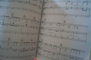 Tori Amos - Little Earthquakes Songbook Notenbuch Piano Vocal Guitar PVG