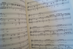 Billie Holiday - The Lady sings the Blues Songbook Notenbuch Piano Vocal Guitar PVG