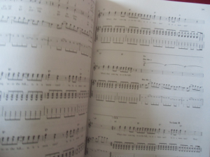 Automatic - Not accepted anywhere Songbook Notenbuch Vocal Guitar