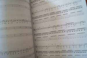 Ärzte, Die - Bäst of Songbook Notenbuch Vocal Bass