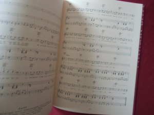 Amandine Bourgeois - 20m² Songbook Notenbuch Piano Vocal Guitar PVG