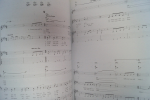 Last Shadow Puppets - The Age of Understatement Songbook Notenbuch Vocal Guitar