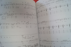 Last Shadow Puppets - The Age of Understatement Songbook Notenbuch Vocal Guitar