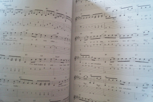 Nirvana - Best of Songbook Notenbuch Vocal Easy Guitar