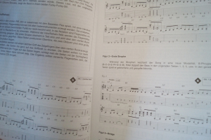 Red Hot Chili Peppers - Signature Licks (mit CD) Songbook Notenbuch Guitar