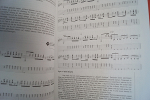 Red Hot Chili Peppers - Signature Licks (mit CD) Songbook Notenbuch Guitar