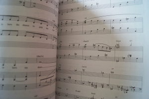 Barbra Streisand - The Concert Songbook Notenbuch Piano Vocal Guitar PVG