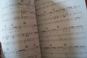 Britney Spears - Britney Songbook Notenbuch Piano Vocal Guitar PVG