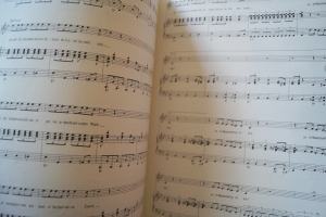 Bläck Fööss - Links eröm Rächs eröm Songbook Notenbuch Piano Vocal Guitar PVG