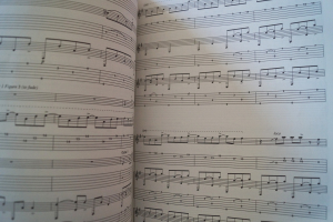 Led Zeppelin - Acoustic Classics Vol. 1 Songbook Notenbuch Vocal Guitar