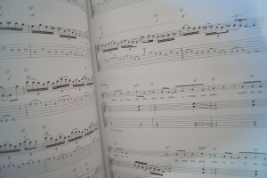 Iron Maiden - Dance of Death Songbook Notenbuch Vocal Guitar