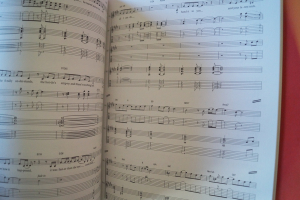 Dire Straits - Brothers in Arms (Tab Edition) Songbook Notenbuch Vocal Guitar