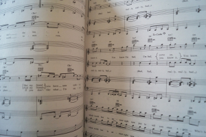 Michael Jackson - The Collection Songbook Notenbuch Piano Vocal Guitar PVG