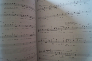 Offspring - Splinter Songbook Notenbuch Vocal Guitar