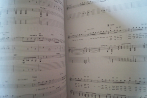 Offspring - Splinter Songbook Notenbuch Vocal Guitar