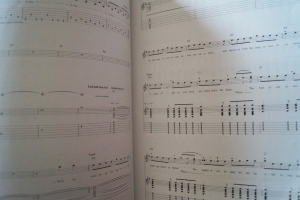 Offspring - Splinter Songbook Notenbuch Vocal Guitar