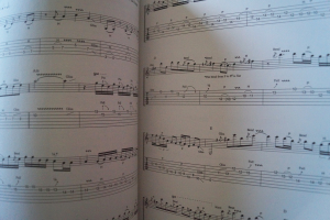 Eric Clapton - The Guitar Styles of Songbook Notenbuch Vocal Guitar