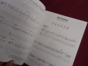 Offspring - Greatest Hits Songbook Notenbuch Vocal Easy Guitar