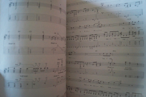 Van Halen - Van Halen (neuere Ausgabe) Songbook Notenbuch Vocal Guitar