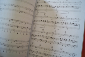 David Guetta - The Songbook Songbook Notenbuch Piano Vocal Guitar PVG