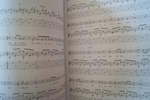 John Denver - The Guitar Style of Songbook Notenbuch Vocal Guitar