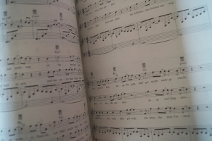 Pur - Live & Live die Zweite Songbooks Notenbücher Piano Vocal Guitar PVG