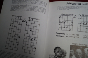 Django Reinhardt - The Guitar Style of Notenbuch Guitar