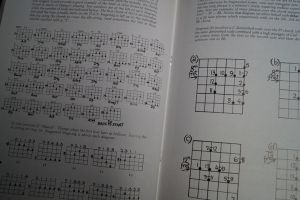 Django Reinhardt - The Guitar Style of Notenbuch Guitar