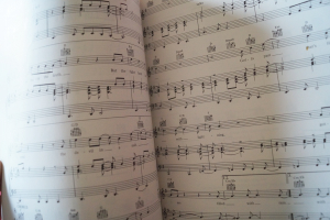 Elton John - The One Songbook Notenbuch Piano Vocal Guitar PVG