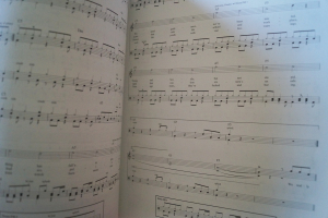 Blink 182 - Best of Songbook Notenbuch Vocal Drums