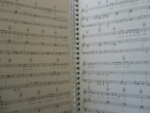 Bodo Wartke - Ich denke also sing ich Songbook Notenbuch Piano Vocal Guitar PVG