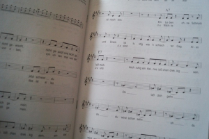 Lucilectric - Mädchen Songbook Notenbuch Vocal Guitar