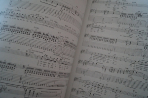 Zakk Wylde - The Best of (mit CD) Songbook Notenbuch Vocal Guitar