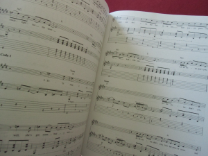 Elvis - Guitar Playalong (mit Audiocode) Songbook Notenbuch Vocal Guitar