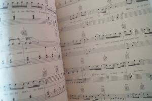 Guns n Roses - Selections from Use your Illusion I & II Songbook Notenbuch Piano Vocal Guitar PVG