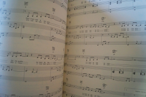 Celine Dion - On ne change pas Songbook Notenbuch Piano Vocal Guitar PVG